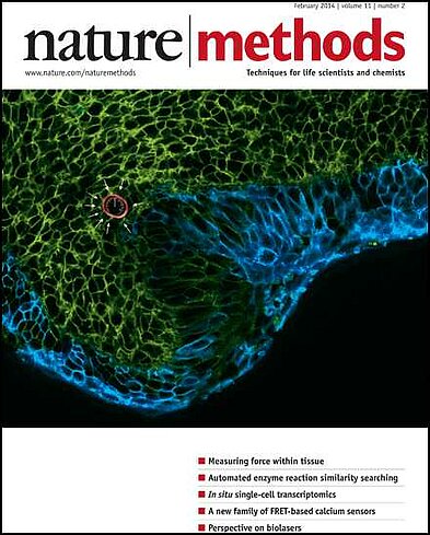 Cover of Nature Methods Journal, February 2014