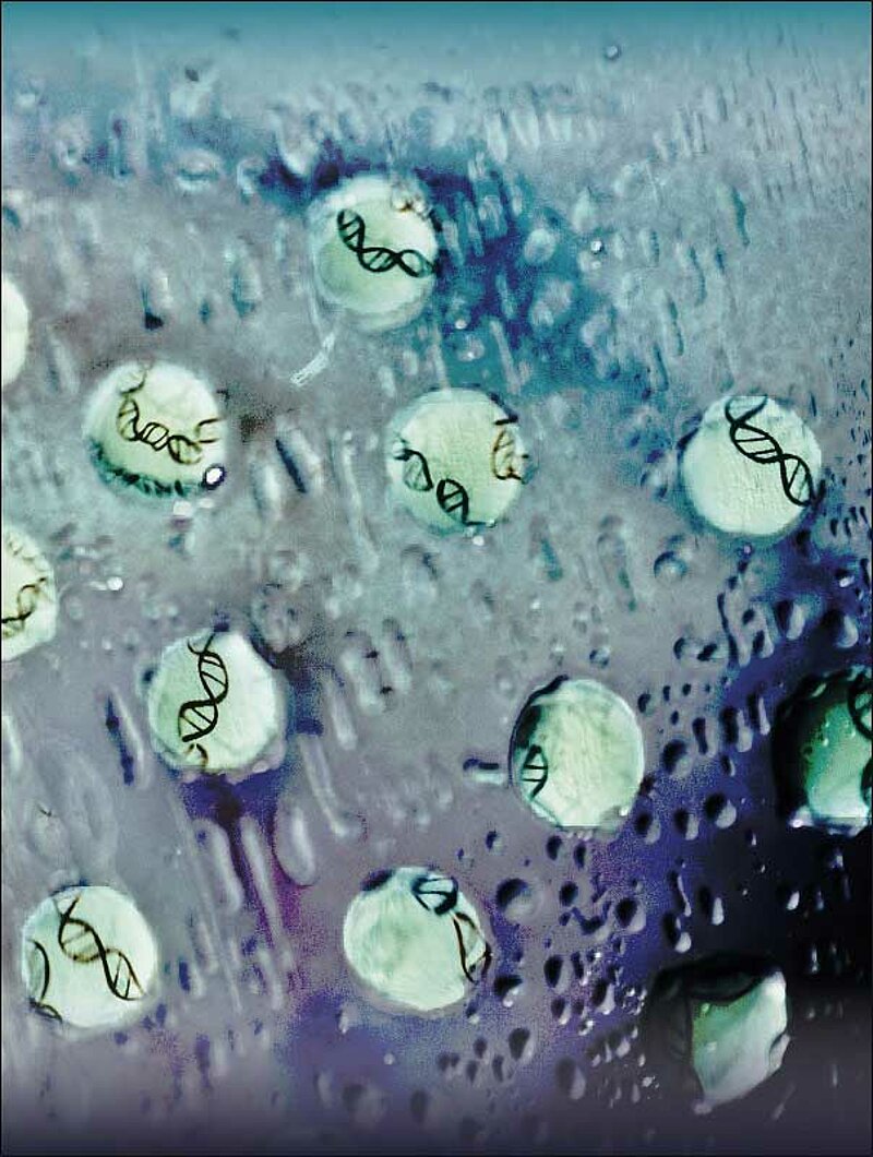 This image shows droplets of transcription factors that wet a surface and reveal regulatory DNA regions. This process is symbolized in this photograph of droplets of purified protein on a glass surface with hand-drawn DNA on the back of the glass. © Mark Leaver, Jose A. Morin and Sina Wittmann, / MPI-CBG / Jose A. Morin et al. Nature Physics, 2022