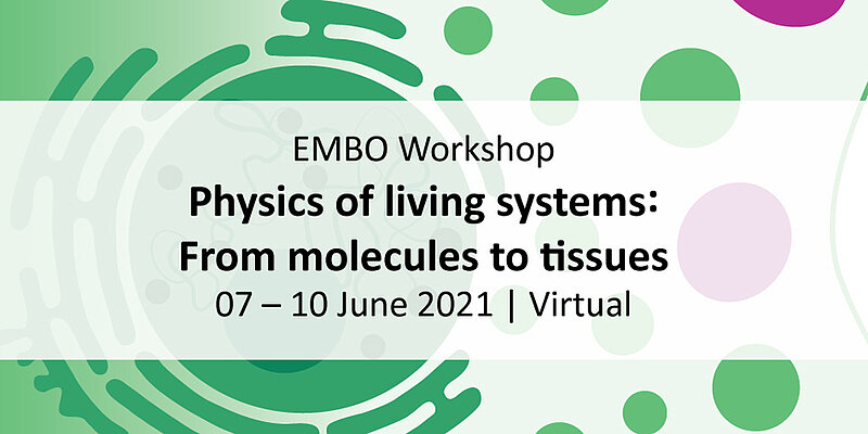 The image shows the titel of the EMBO Workshop: Physics of living systems: From molecules to tissues. The image shows a section of a cell (stylized) in the background.