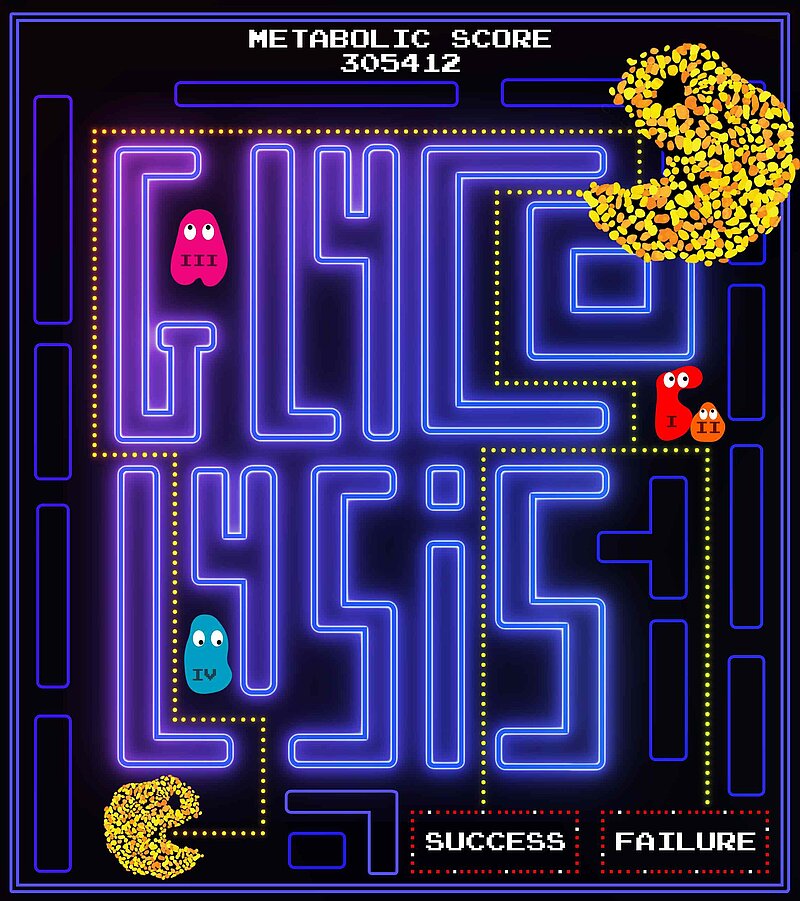 A yellow pacman, made up of cells, wanders through a maze made of purple letters spelling out 'G-L-Y-C-O-L-Y-S-I-S'. There are also little yellow dots representing sugar molecules, and ghosts in the maze. One path leads to success, and another leads to failure. 