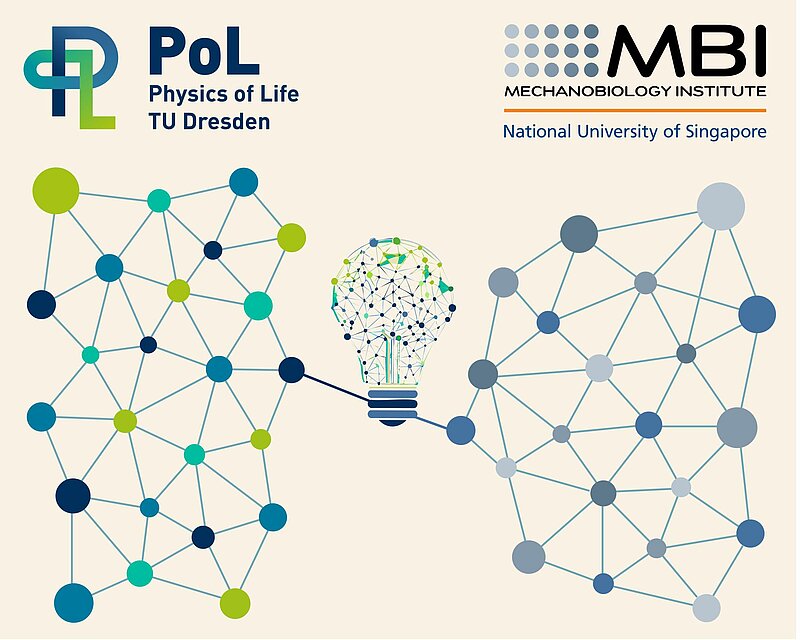 A lightbulb in the centre of the image is made up of many different coloured nodes. On the top left, the PoL logo is visible and beneath that, nodes in blues and greens. On the right, the MBI logo is visible with nodes in grey and white shades below. The nodes combine in the centre where the light bulb is found. 