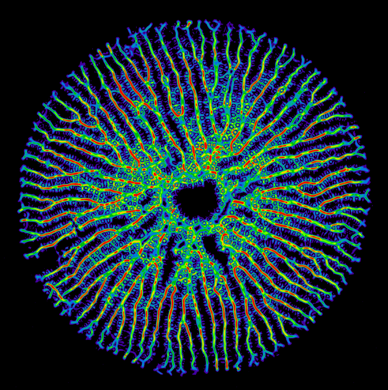 A series of colourful patterns emerge from a single central seed, which is a young diatom valve. These grow outwards and form a halo of branches around the centre
