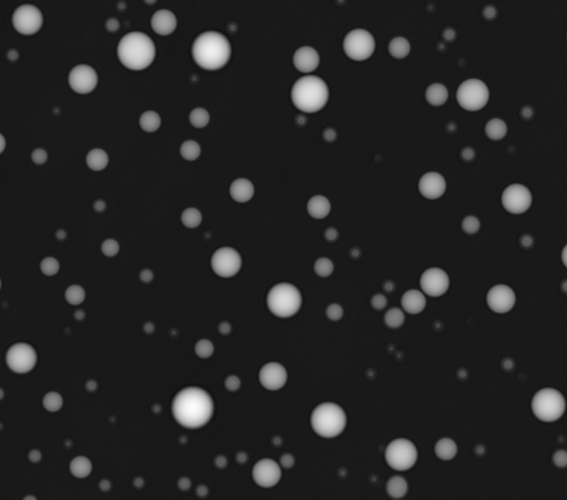 A black background with white circular dots representing biomolecular condensates made out of RNA and proteins