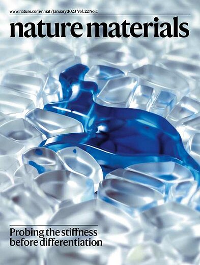 Cover of Journal “Nature Materials”, January 2023
