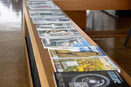 Scientific journals, lined up on a wooden room divider