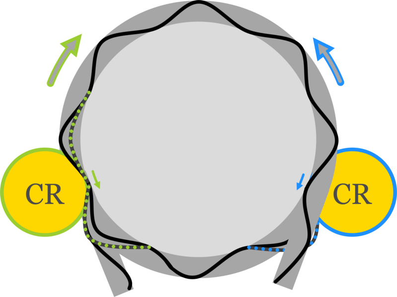 A gray and white circle is in the middle of the photograph and depicts a nucleosome. Two smaller yellow circles are bound on either side of this circle and labelled with the letters 'CR' to mark them as chromatin remodelers, with arrows showing the direction they will slide in. 