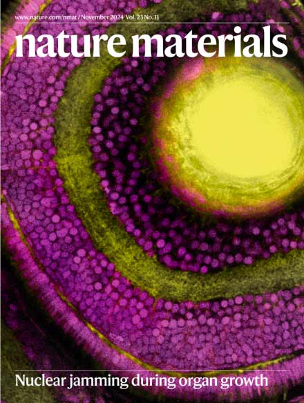 Cover of Journal “Nature Materials”, November 2024