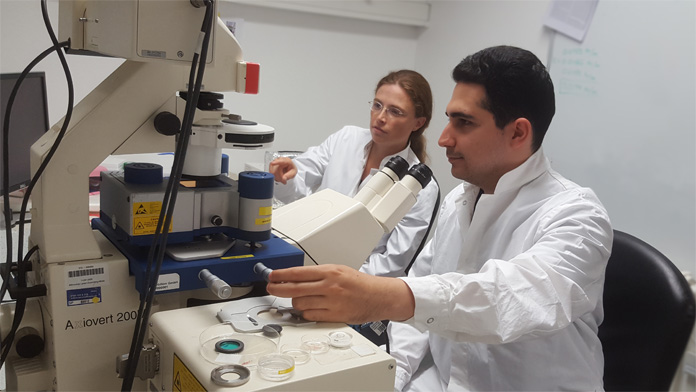 The photograph shows Dr. Kamran Hosseini (right) and Dr. Elisabeth Fischer-Friedrich (left back) at the scanning force microscope in the process of measuring the mechanical response of an EMT-transformed cell. © PoL/TU Dresden