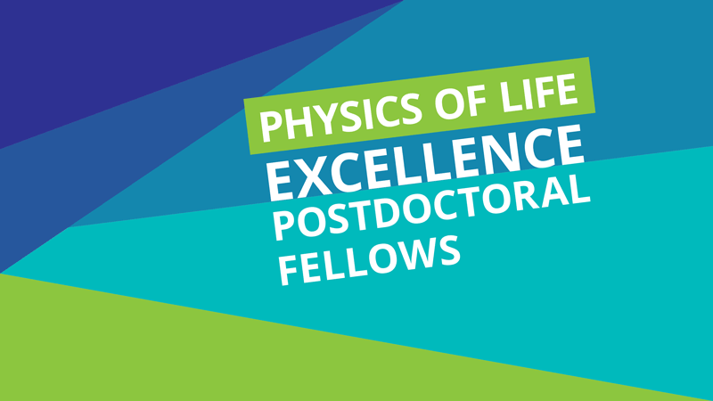 Colorful geometrical shapes and text: “Physics of Life – Escellence Postdoctoral Fellows”