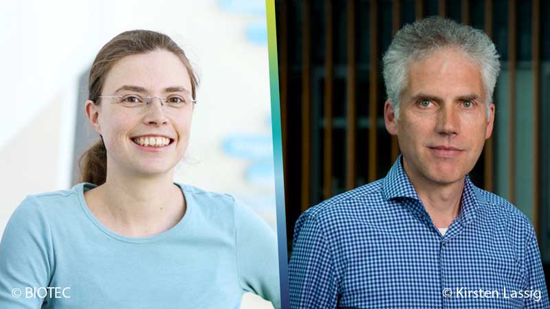 The picture shows two research group leaders at once: On the left, Dr. Elisabeth Fischer-Friedrich from the Cluster of Excellence Physics of Life, on the right Prof. Christian Dahmann from the Faculty of Biology at TU Dresden.